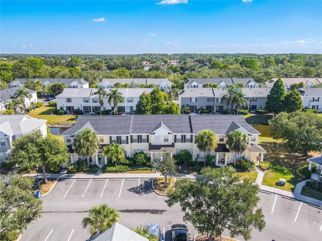 12245 Country White Circle Tampa FL 33635 TB8444929 image19