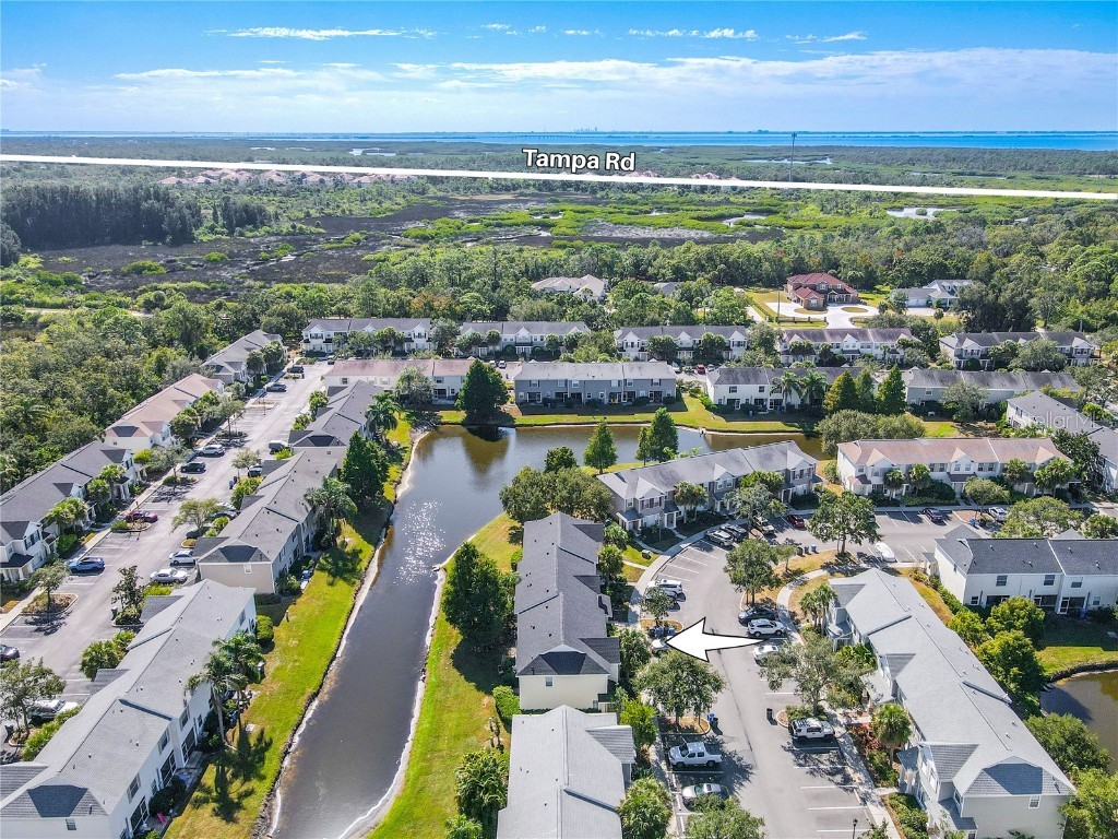 12245 Country White Circle Tampa FL 33635 TB8444929 image2