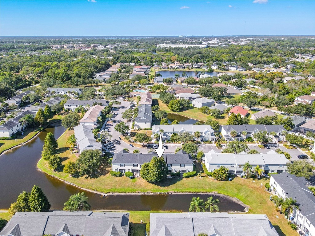 12245 Country White Circle Tampa FL 33635 TB8444929 image21