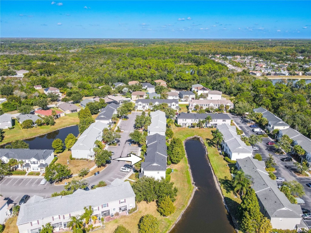 12245 Country White Circle Tampa FL 33635 TB8444929 image22