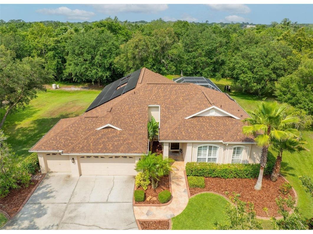 12247 Creek Edge Drive Riverview FL 33579 T3527284 image1