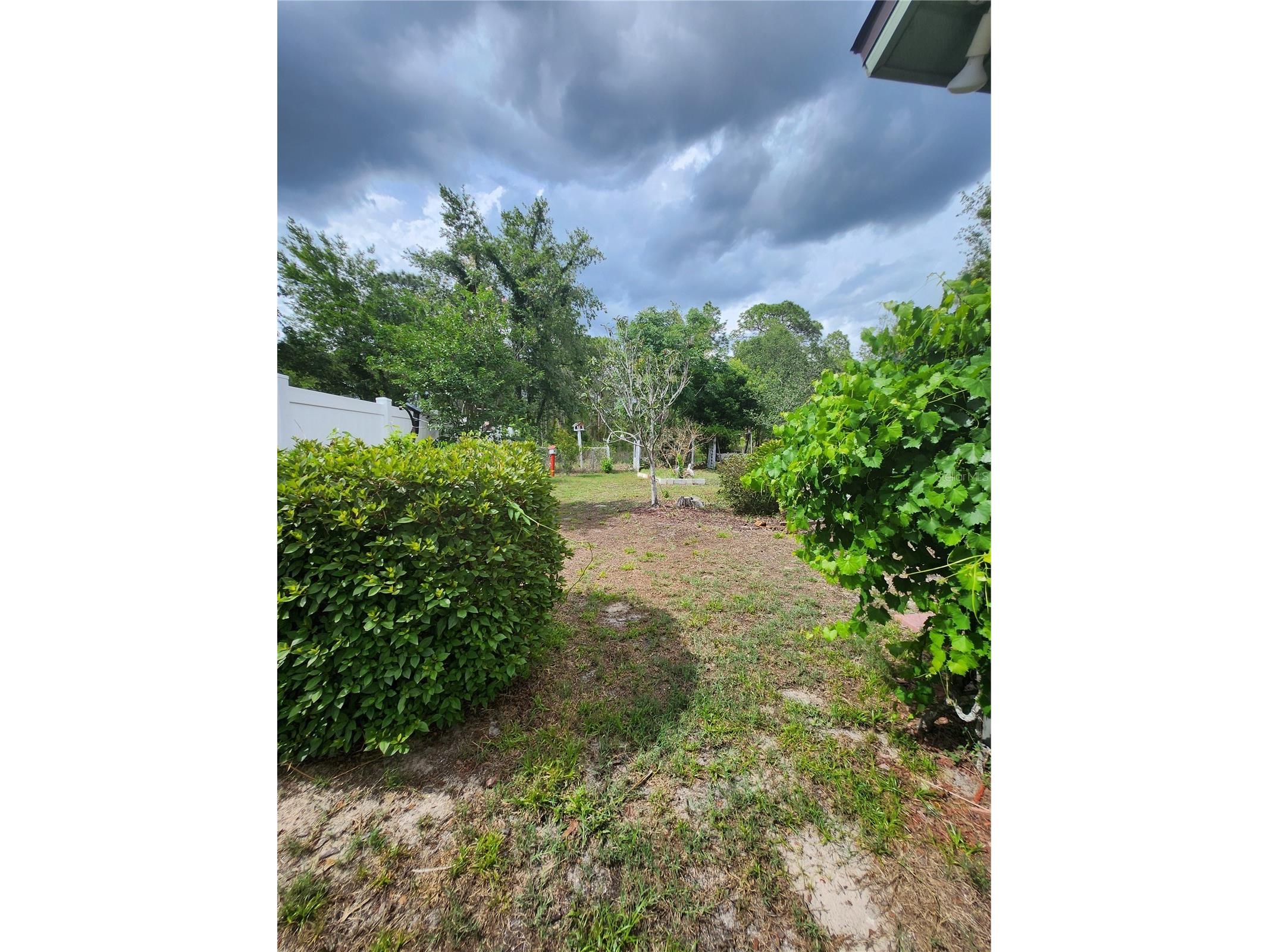 12247 Katherwood Street Spring Hill FL 34608 TB8510948 image25