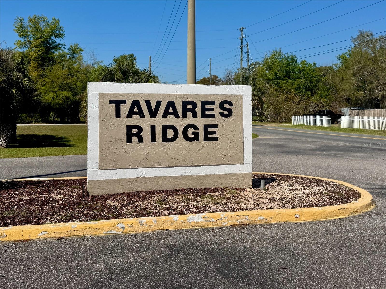 12248 Tavares Ridge Circle Tavares FL 32778 O6392617 image30