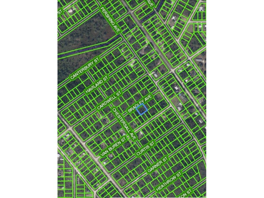 1225 Bradley Avenue Lake Placid FL 33852 O6167833 image1