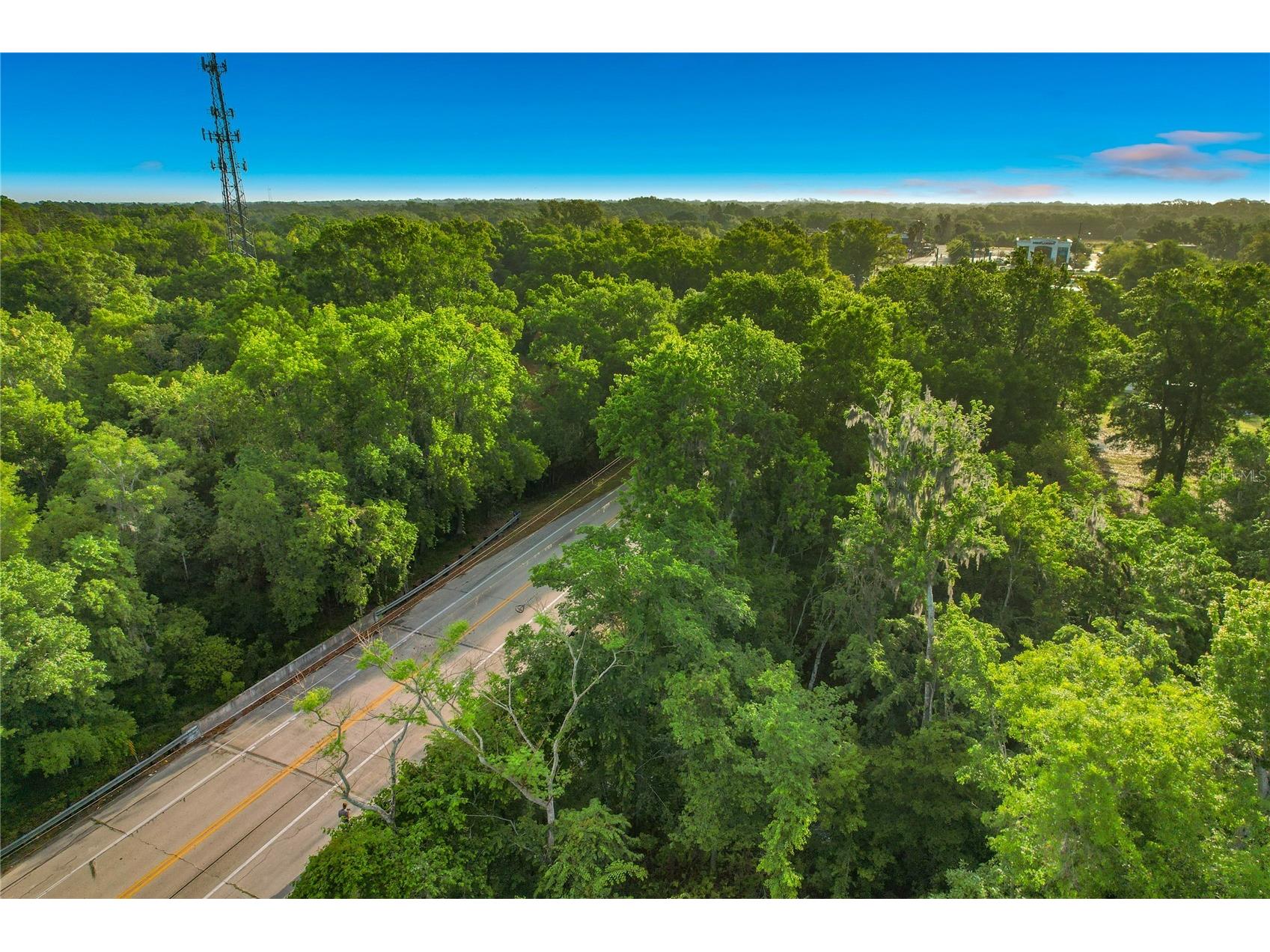 1225 Duff Road Lakeland FL 33810 L4961359 image20