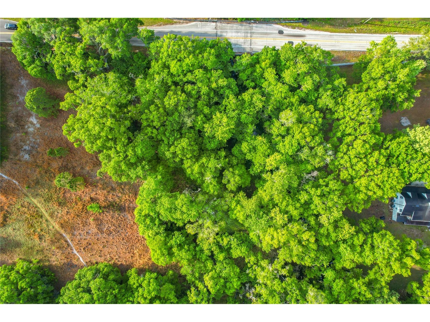 1225 Duff Road Lakeland FL 33810 L4961359 image28