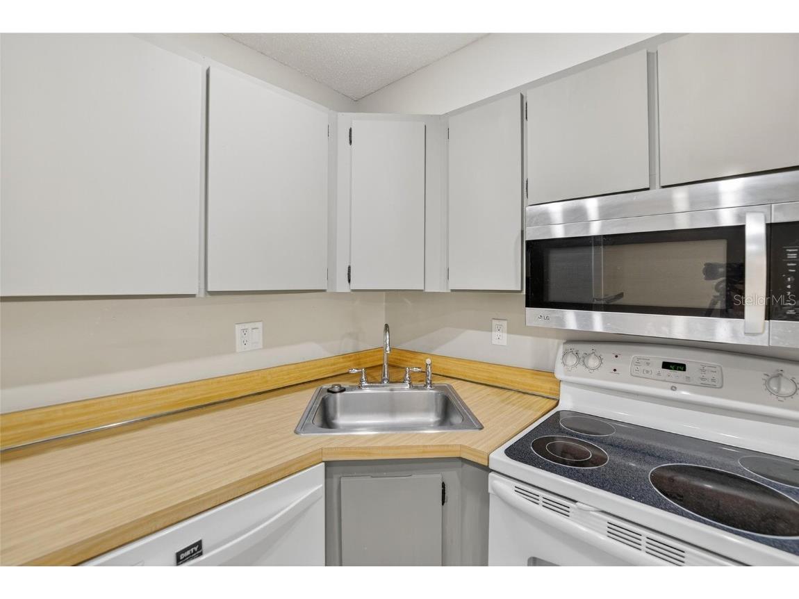 1225 Pine Ridge Circle W #A2 Tarpon Springs FL 34688 TB8420396 image38