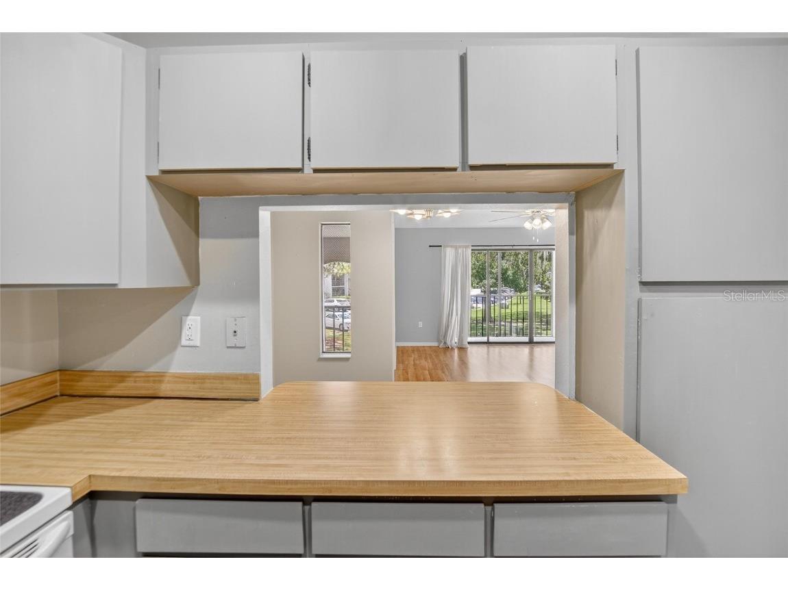 1225 Pine Ridge Circle W #A2 Tarpon Springs FL 34688 TB8420396 image40