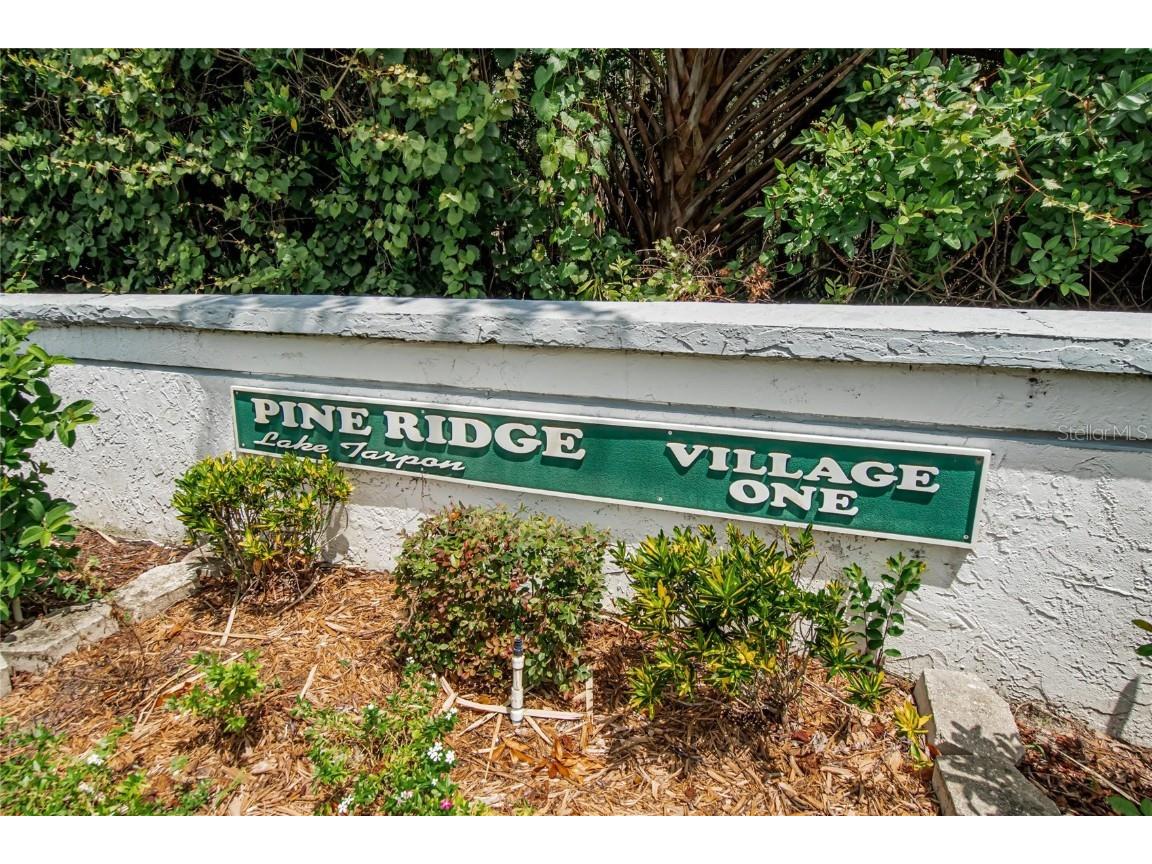 1225 Pine Ridge Circle W #A2 Tarpon Springs FL 34688 TB8420396 image52