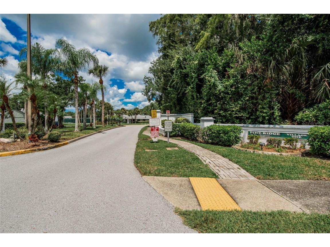 1225 Pine Ridge Circle W #A2 Tarpon Springs FL 34688 TB8420396 image53