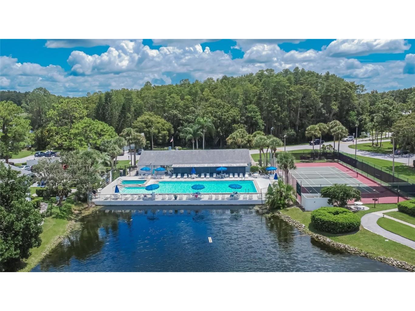 1225 Pine Ridge Circle W #A2 Tarpon Springs FL 34688 TB8420396 image55