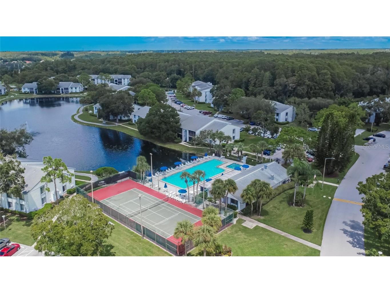 1225 Pine Ridge Circle W #A2 Tarpon Springs FL 34688 TB8420396 image56