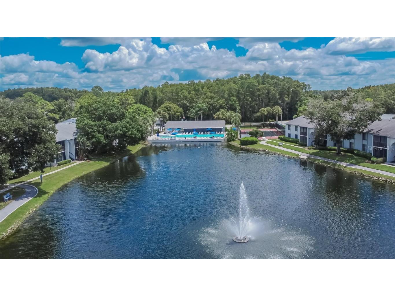 1225 Pine Ridge Circle W #A2 Tarpon Springs FL 34688 TB8420396 image58