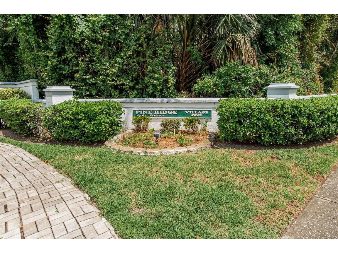 1225 Pine Ridge Circle W #A2 Tarpon Springs FL 34688 TB8420396 image59
