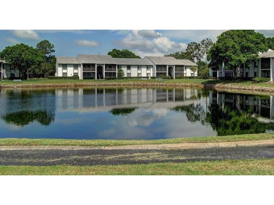 1225 Pine Ridge Circle W #C1 Tarpon Springs FL 34688 TB8498958 image17