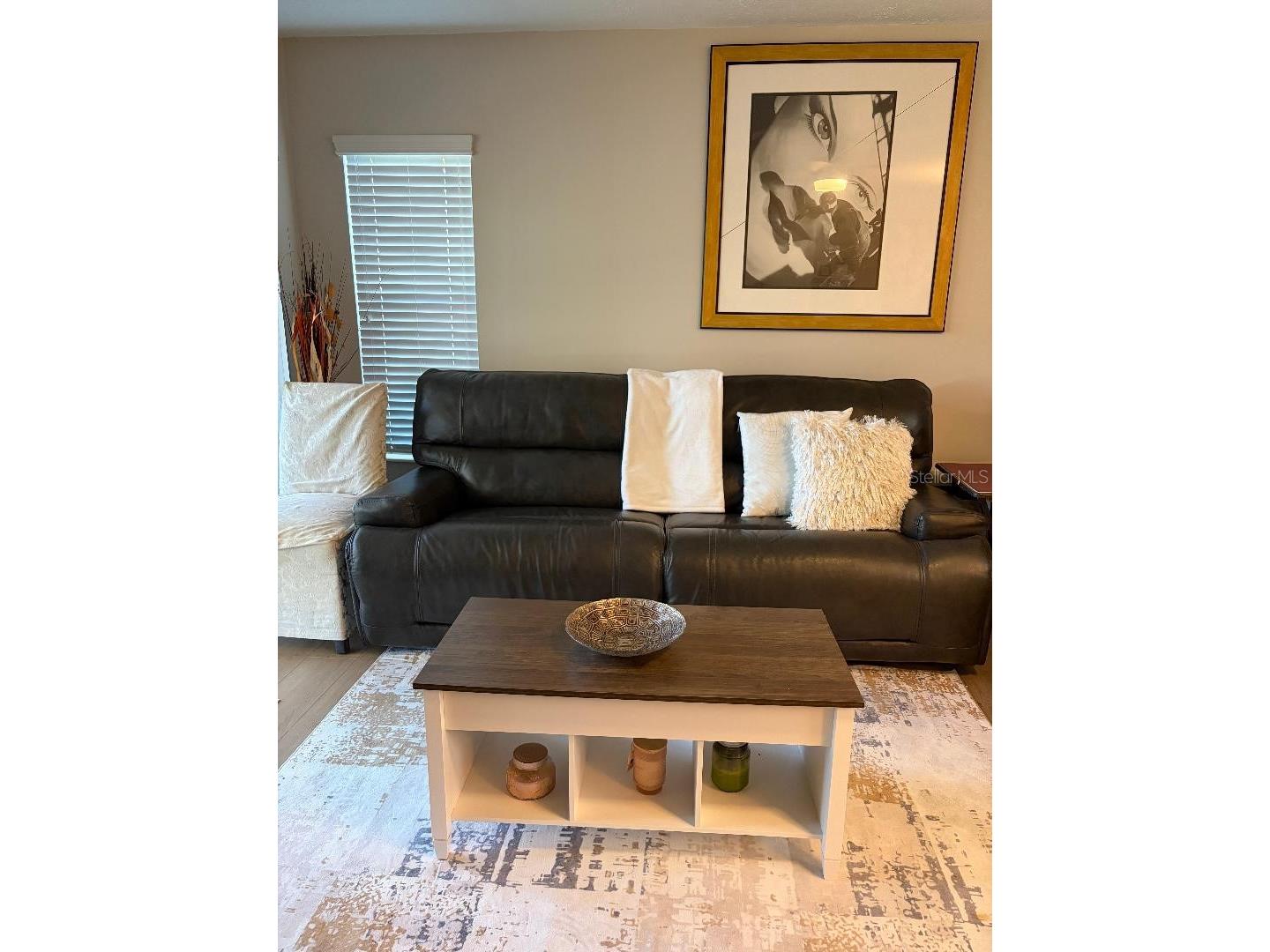1225 Pine Ridge Circle W #C1 Tarpon Springs FL 34688 TB8498958 image2