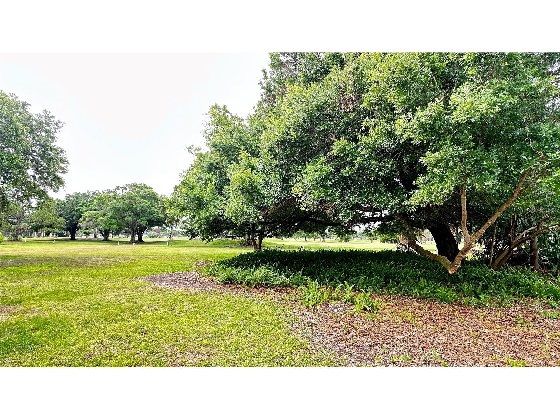 1225 Saint Andrews Drive Rockledge FL 32955 O6409192 image7