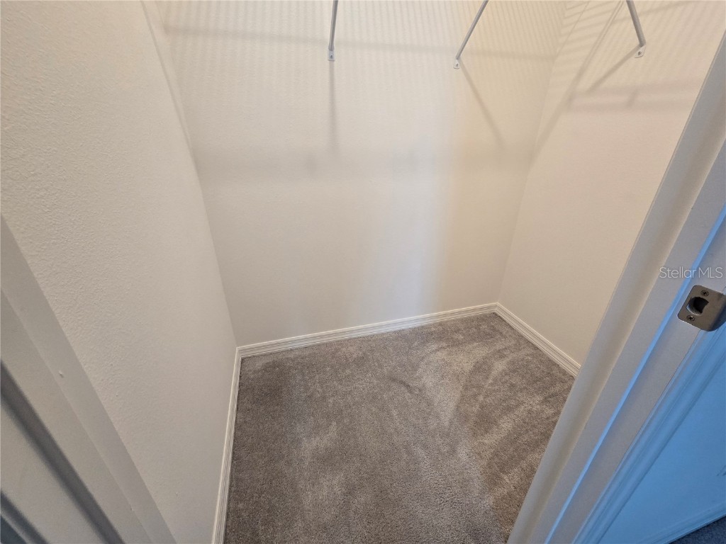 1225 Tupelo Trail Haines City FL 33844 P4936751 image33