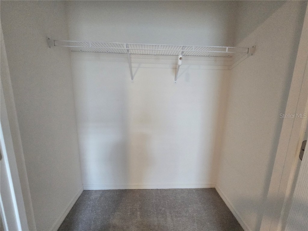 1225 Tupelo Trail Haines City FL 33844 P4936751 image37