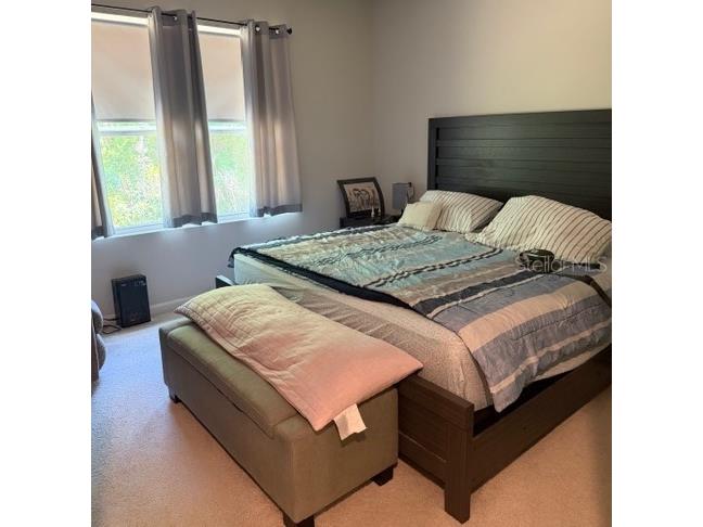 12250 Grizzly Lane New Port Richey FL 34654 TB8507239 image10