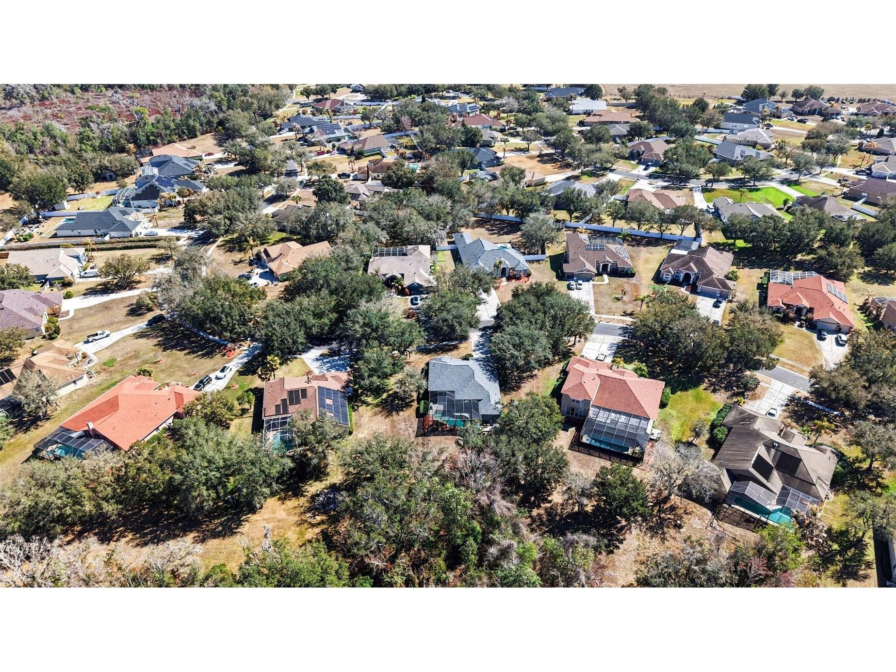 12251 Creek Edge Drive Riverview FL 33579 TB8480734 image34