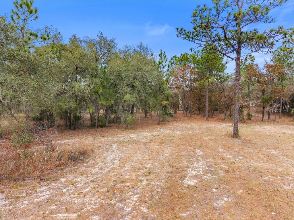 12251 SE 66th Place Morriston FL 32668 OM714125 image17