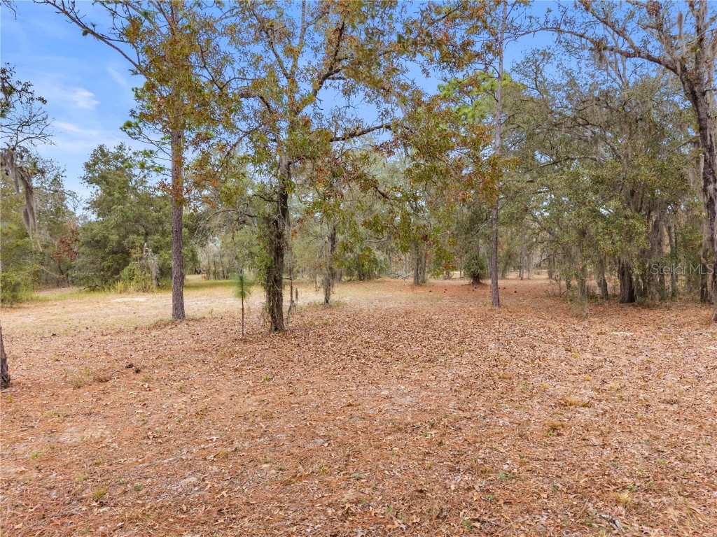 12251 SE 66th Place Morriston FL 32668 OM714125 image18