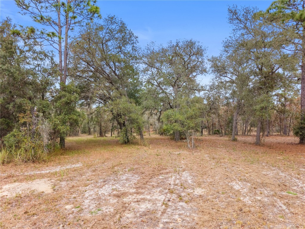 12251 SE 66th Place Morriston FL 32668 OM714125 image19