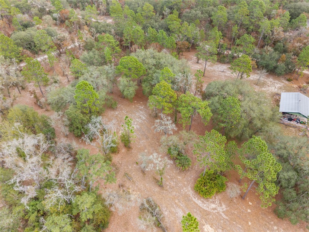 12251 SE 66th Place Morriston FL 32668 OM714125 image21