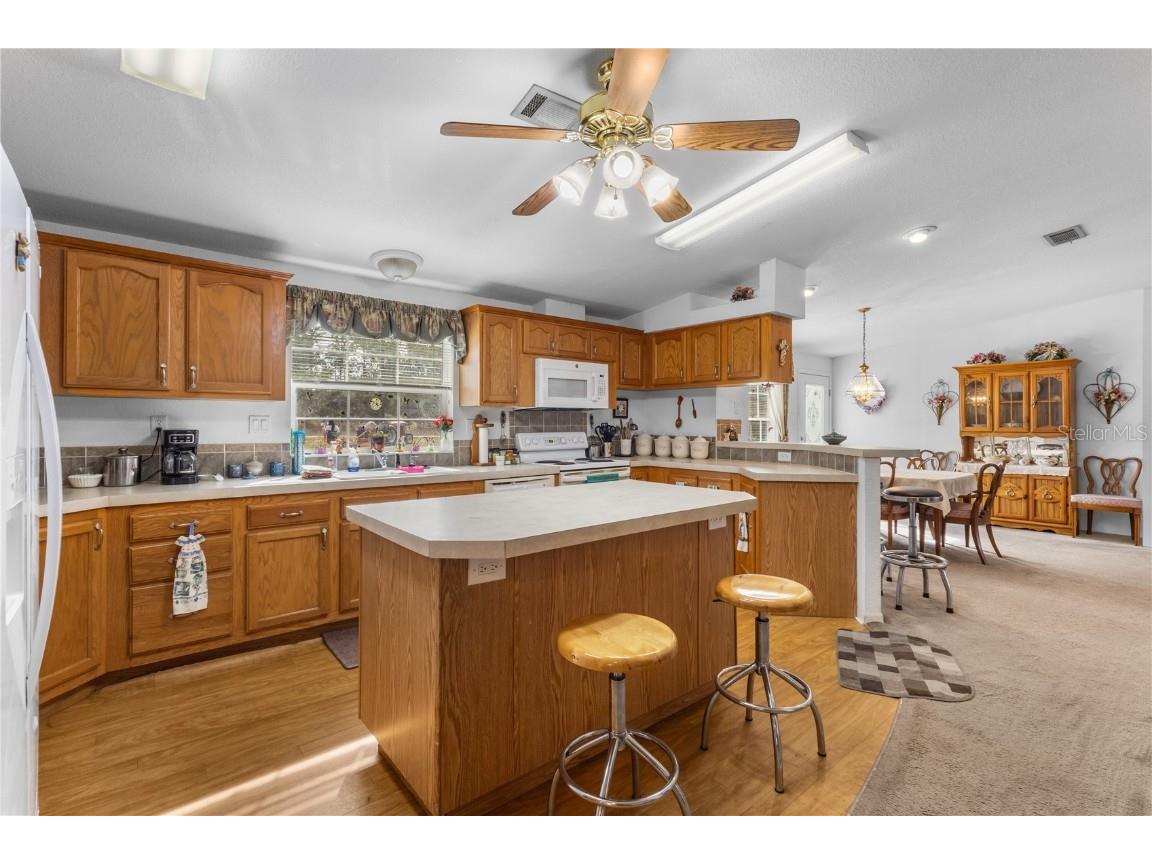 12251 SE 66th Place Morriston FL 32668 OM714125 image46