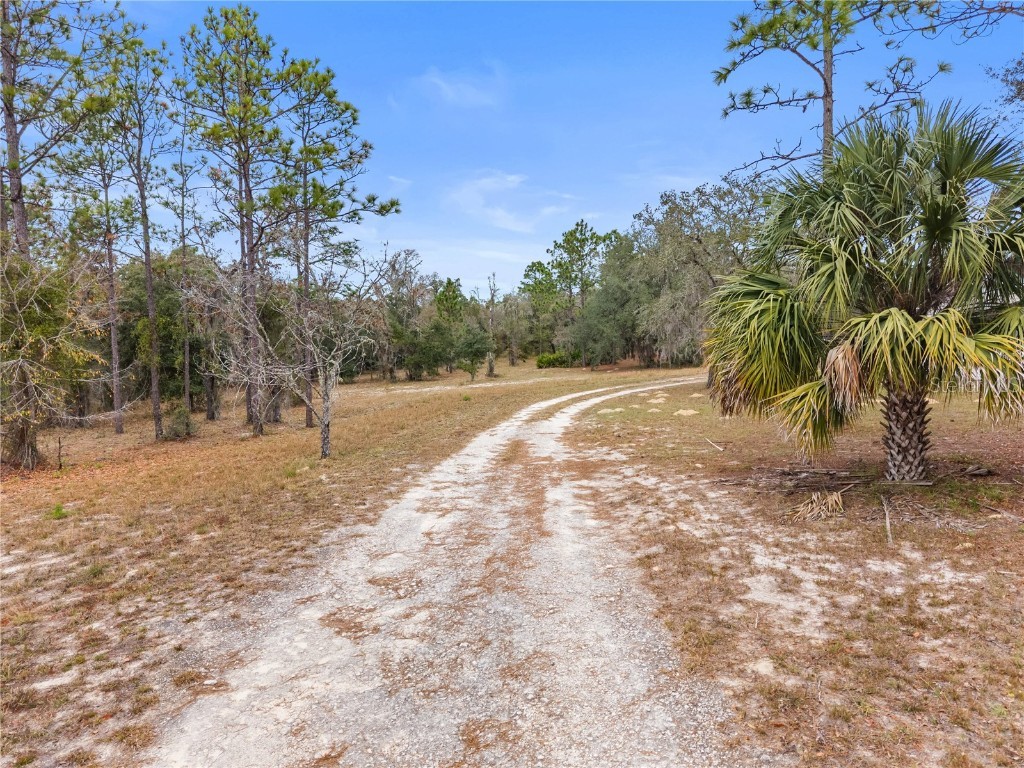 12251 SE 66th Place Morriston FL 32668 OM714125 image5