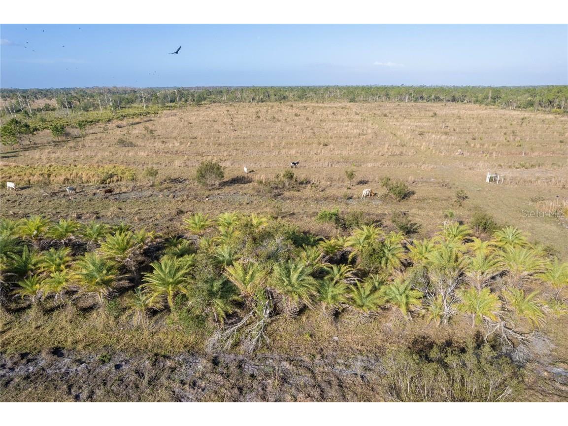 12252 Burnt Store Road Punta Gorda FL 33955 C7511431 image14