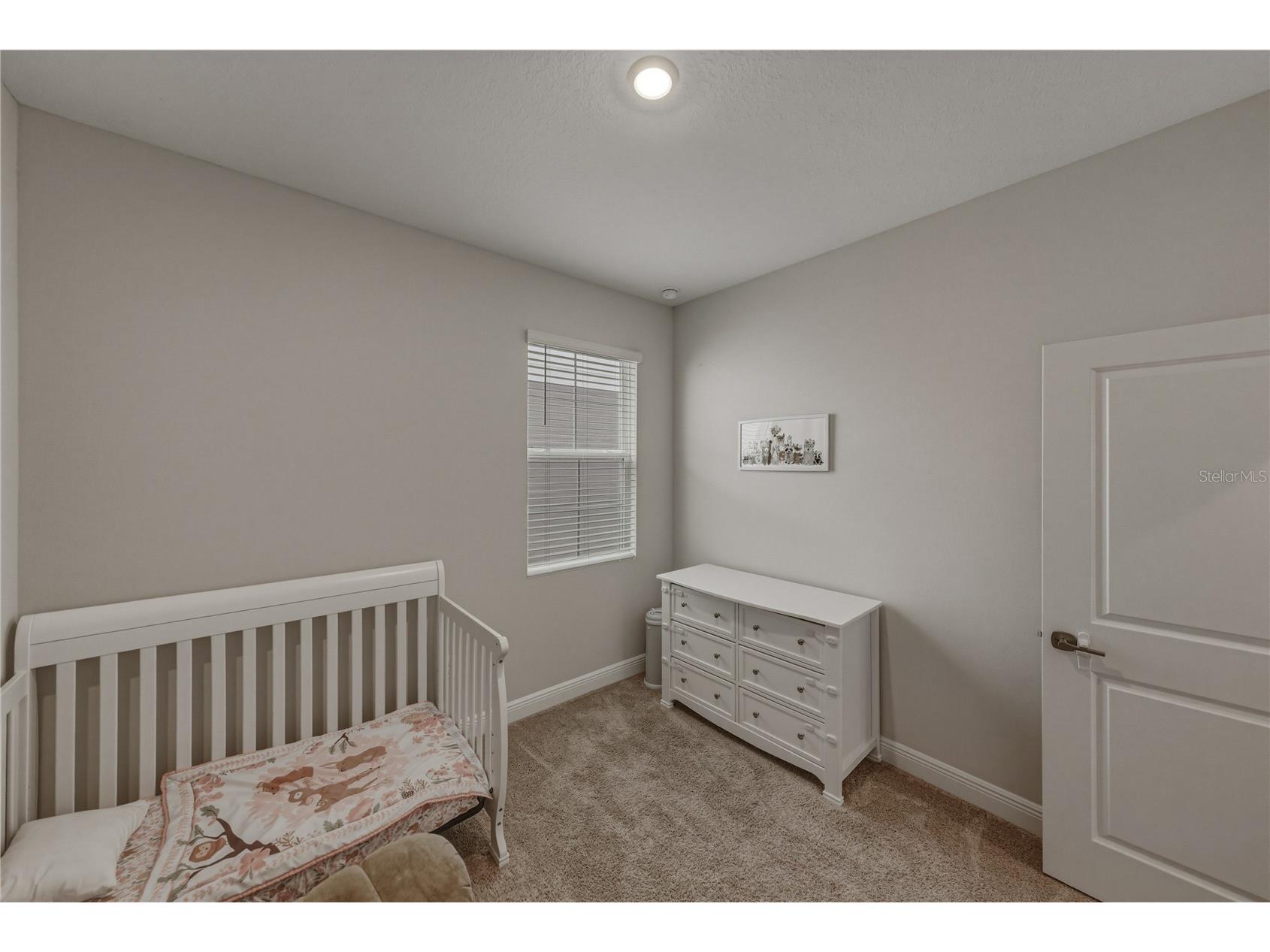 12253 Cattleside Drive Riverview FL 33579 TB8515088 image19