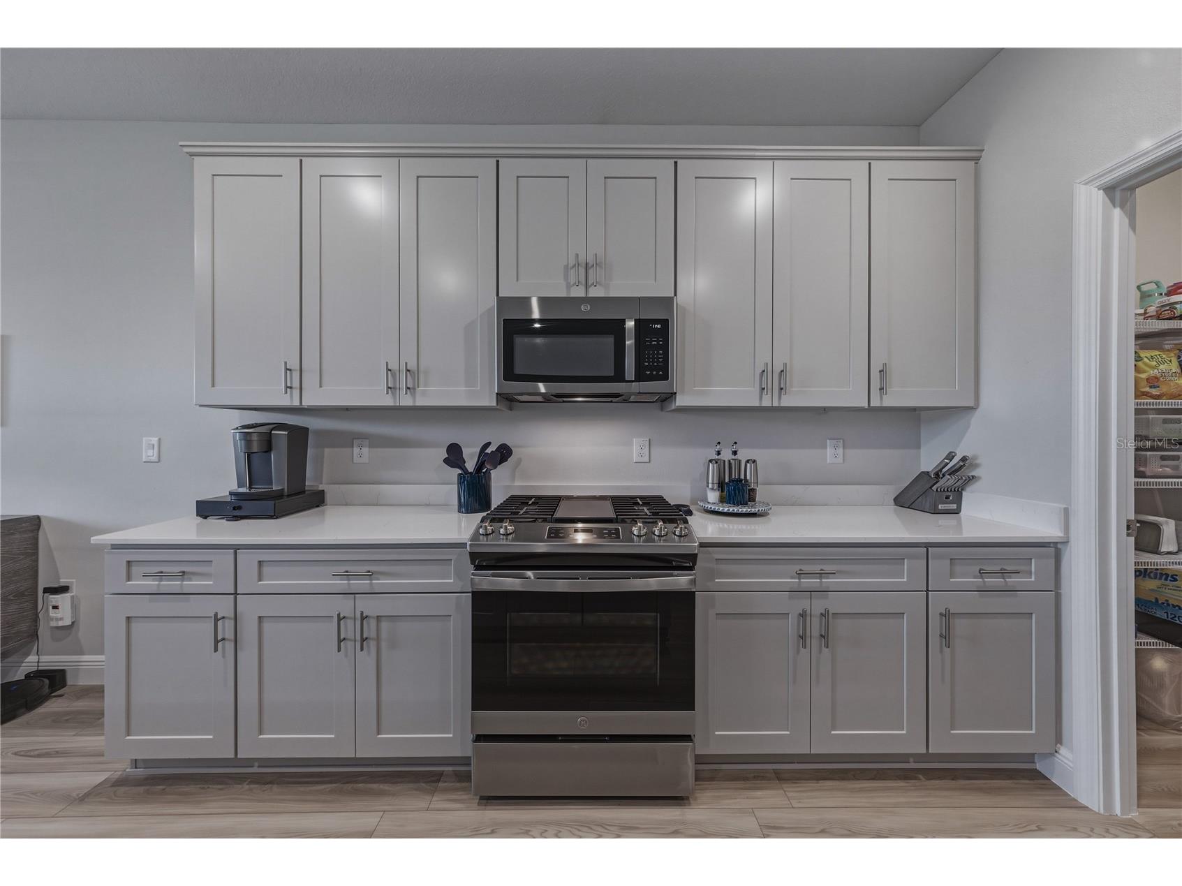 12253 Cattleside Drive Riverview FL 33579 TB8515088 image31