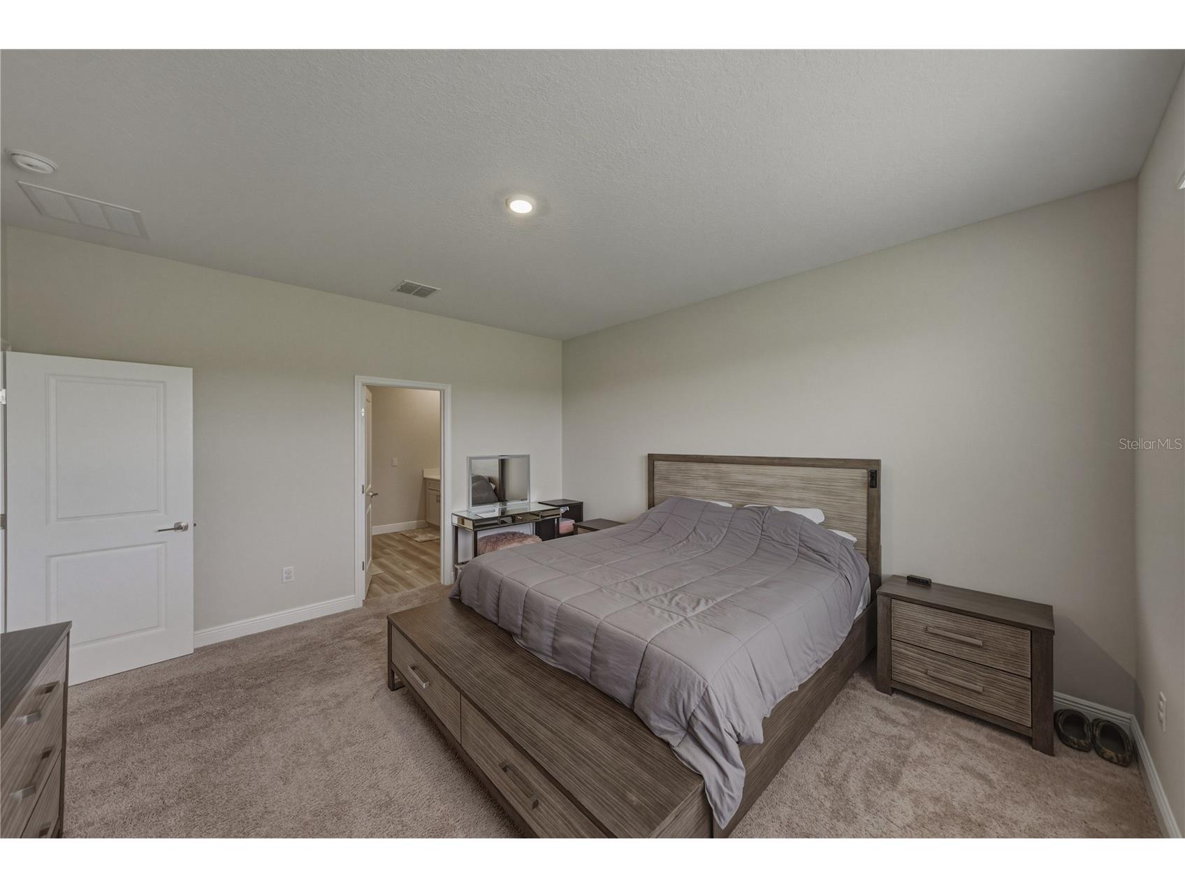 12253 Cattleside Drive Riverview FL 33579 TB8515088 image39