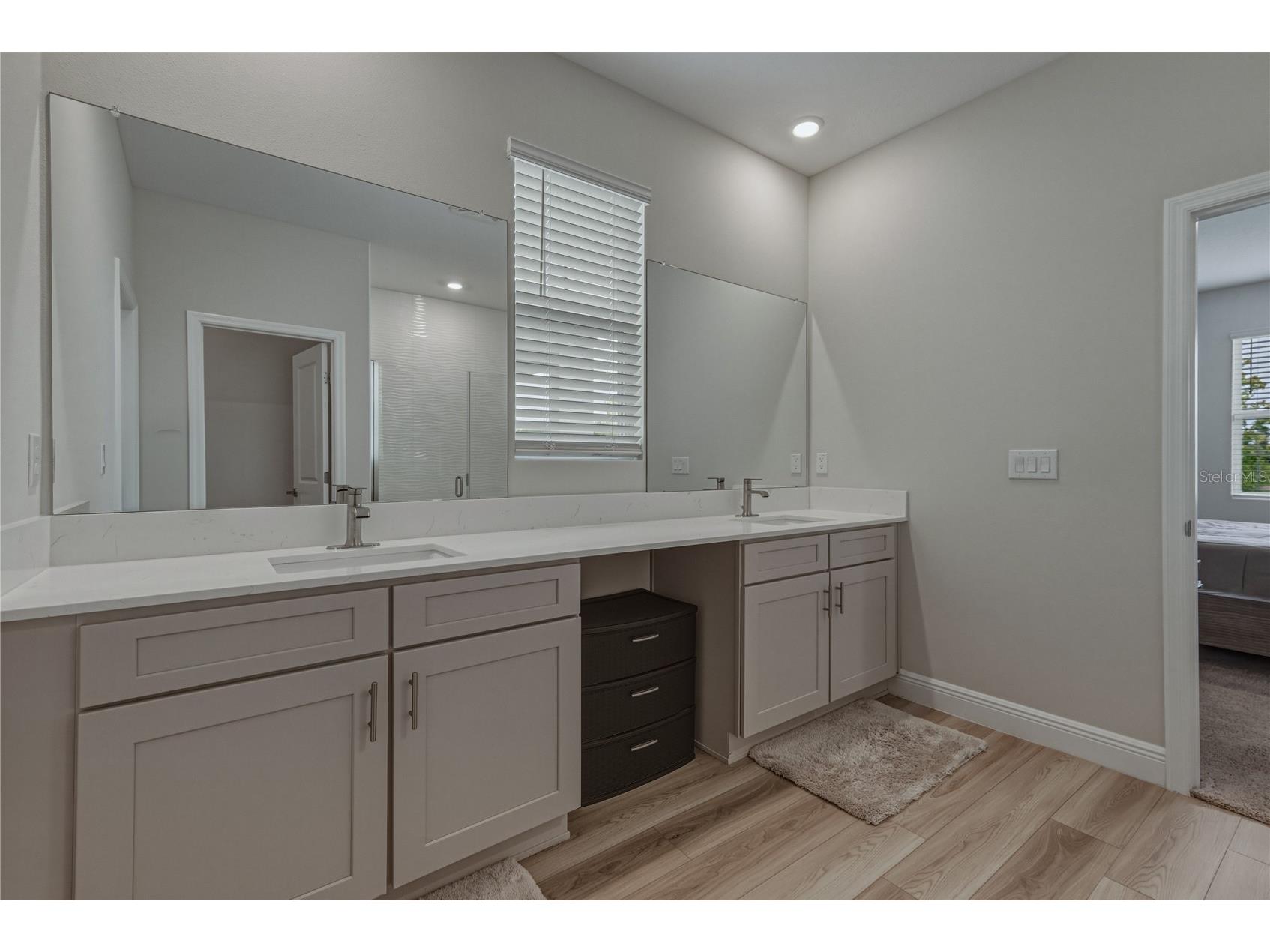 12253 Cattleside Drive Riverview FL 33579 TB8515088 image42