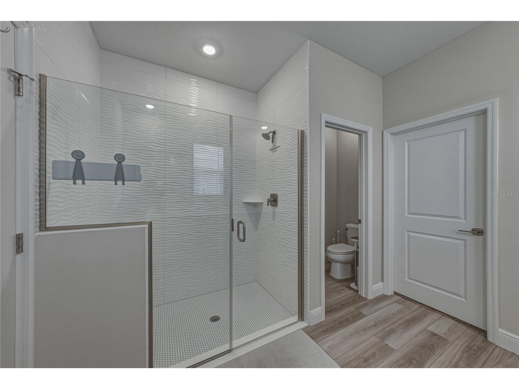12253 Cattleside Drive Riverview FL 33579 TB8515088 image43