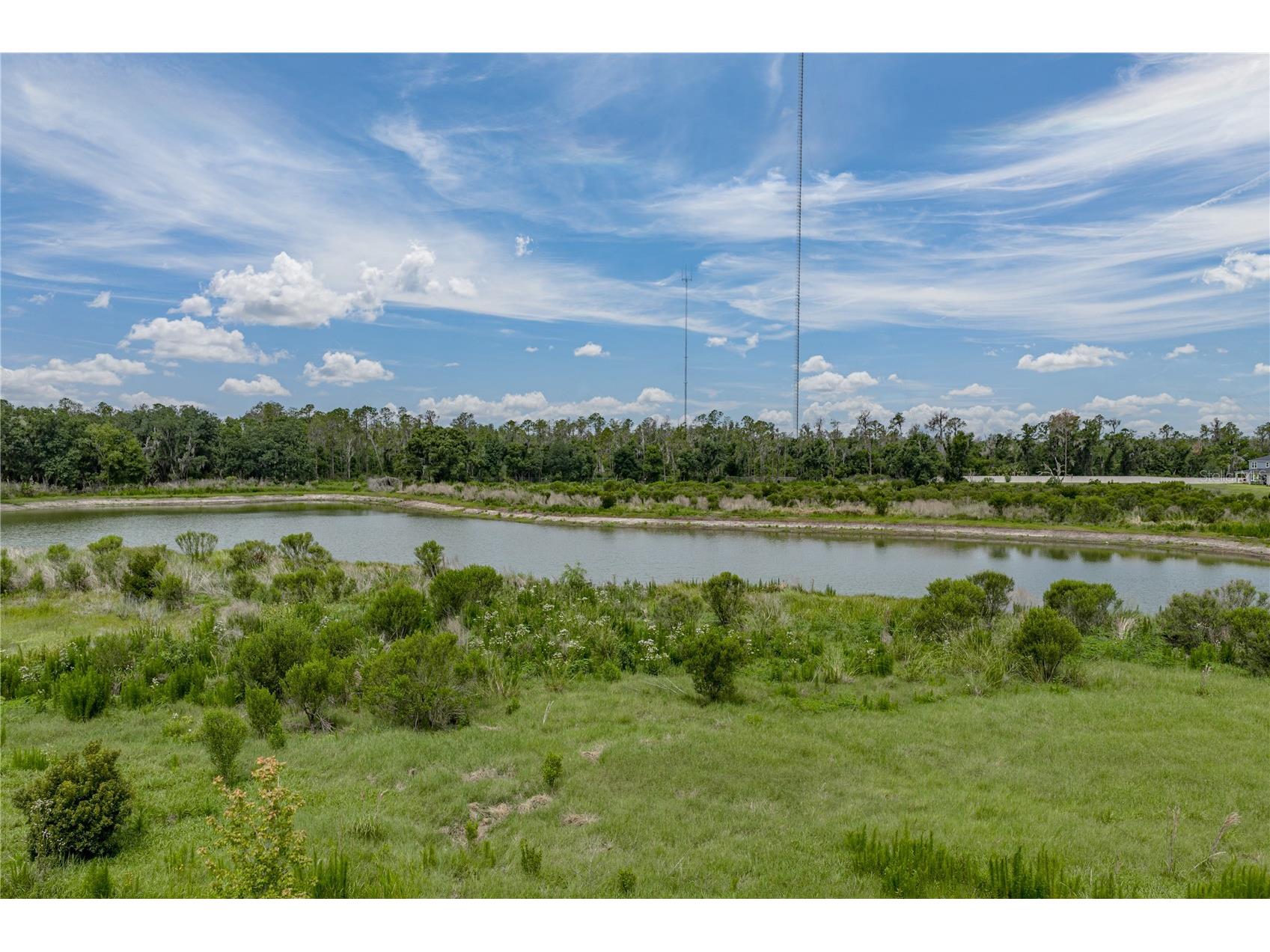 12253 Cattleside Drive Riverview FL 33579 TB8515088 image47