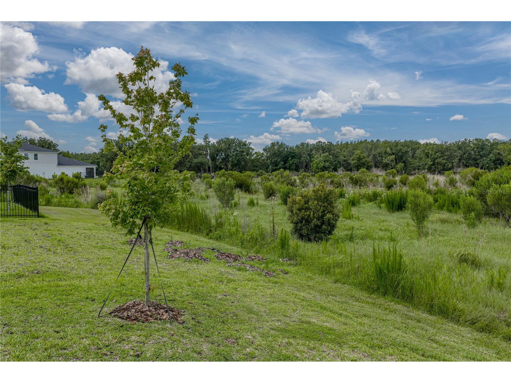 12253 Cattleside Drive Riverview FL 33579 TB8515088 image56