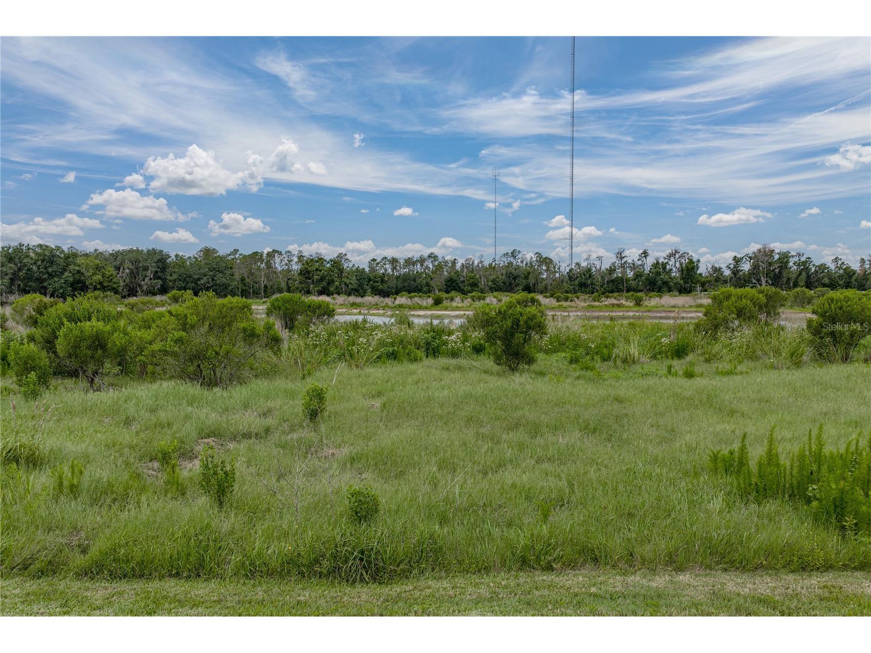 12253 Cattleside Drive Riverview FL 33579 TB8515088 image57