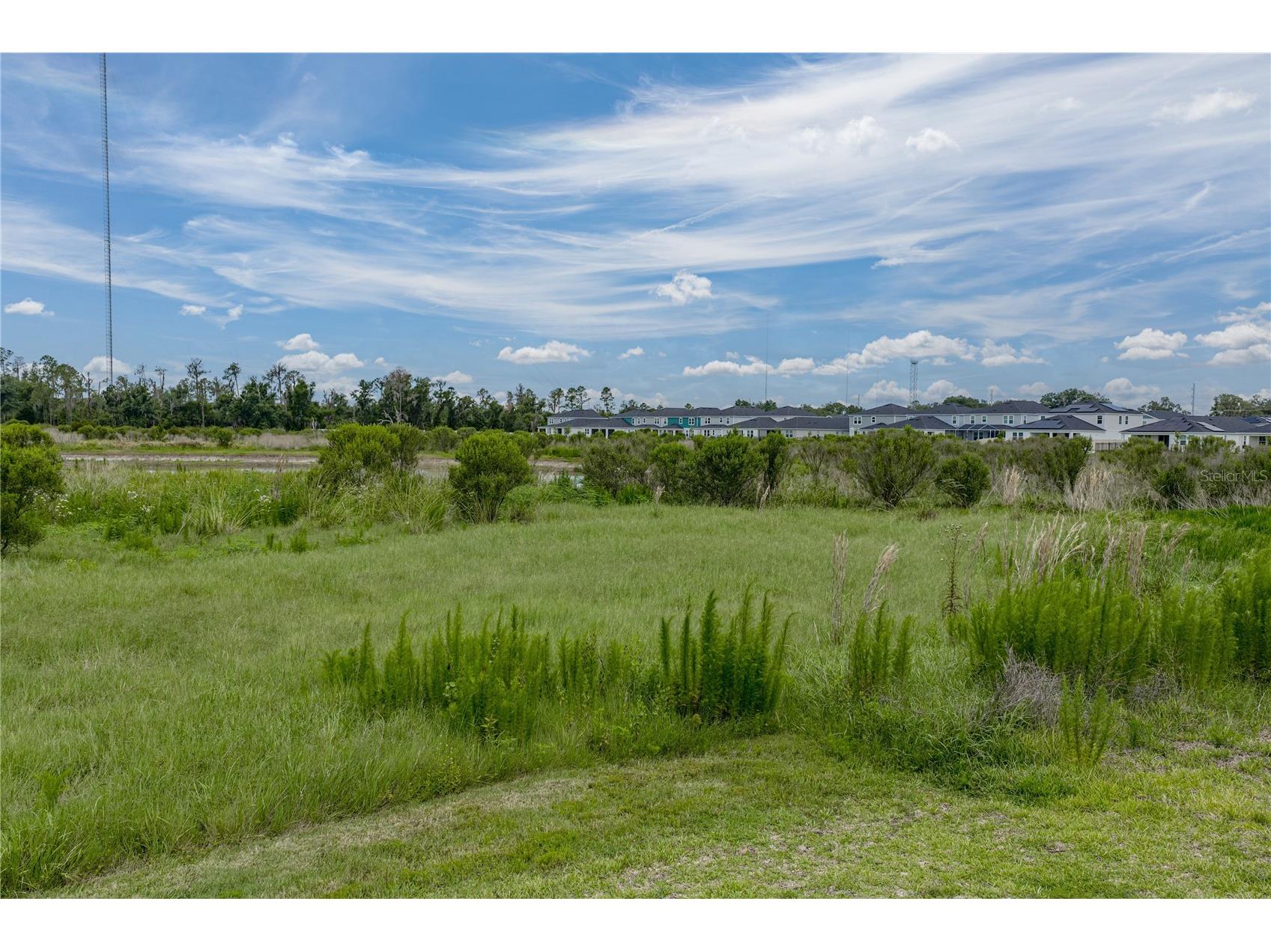 12253 Cattleside Drive Riverview FL 33579 TB8515088 image58