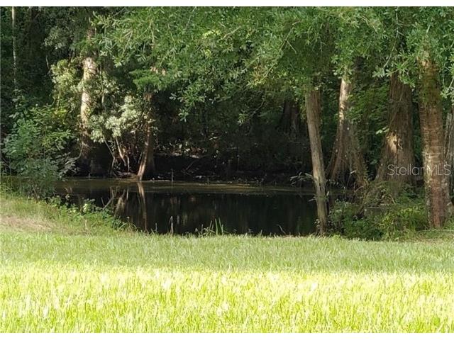 12253 E Berry Lane Floral City FL 34436 TB8513675 image5