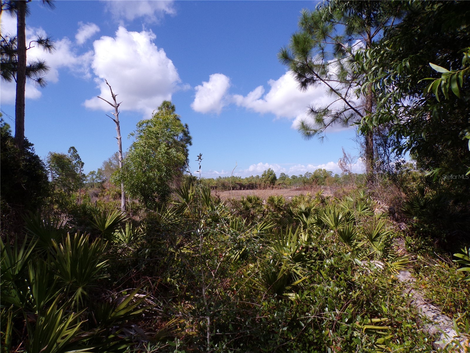12253 Green Gulf Boulevard Punta Gorda FL 33955 C7522070 image11