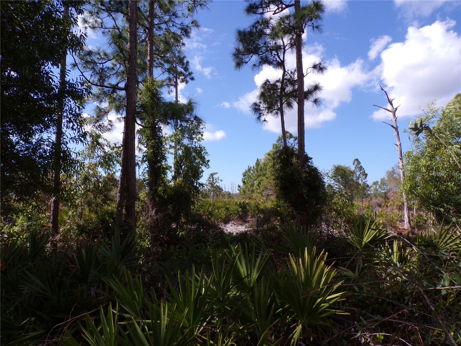 12253 Green Gulf Boulevard Punta Gorda FL 33955 C7522070 image14