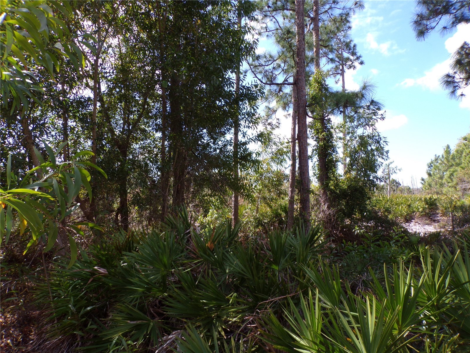 12253 Green Gulf Boulevard Punta Gorda FL 33955 C7522070 image15