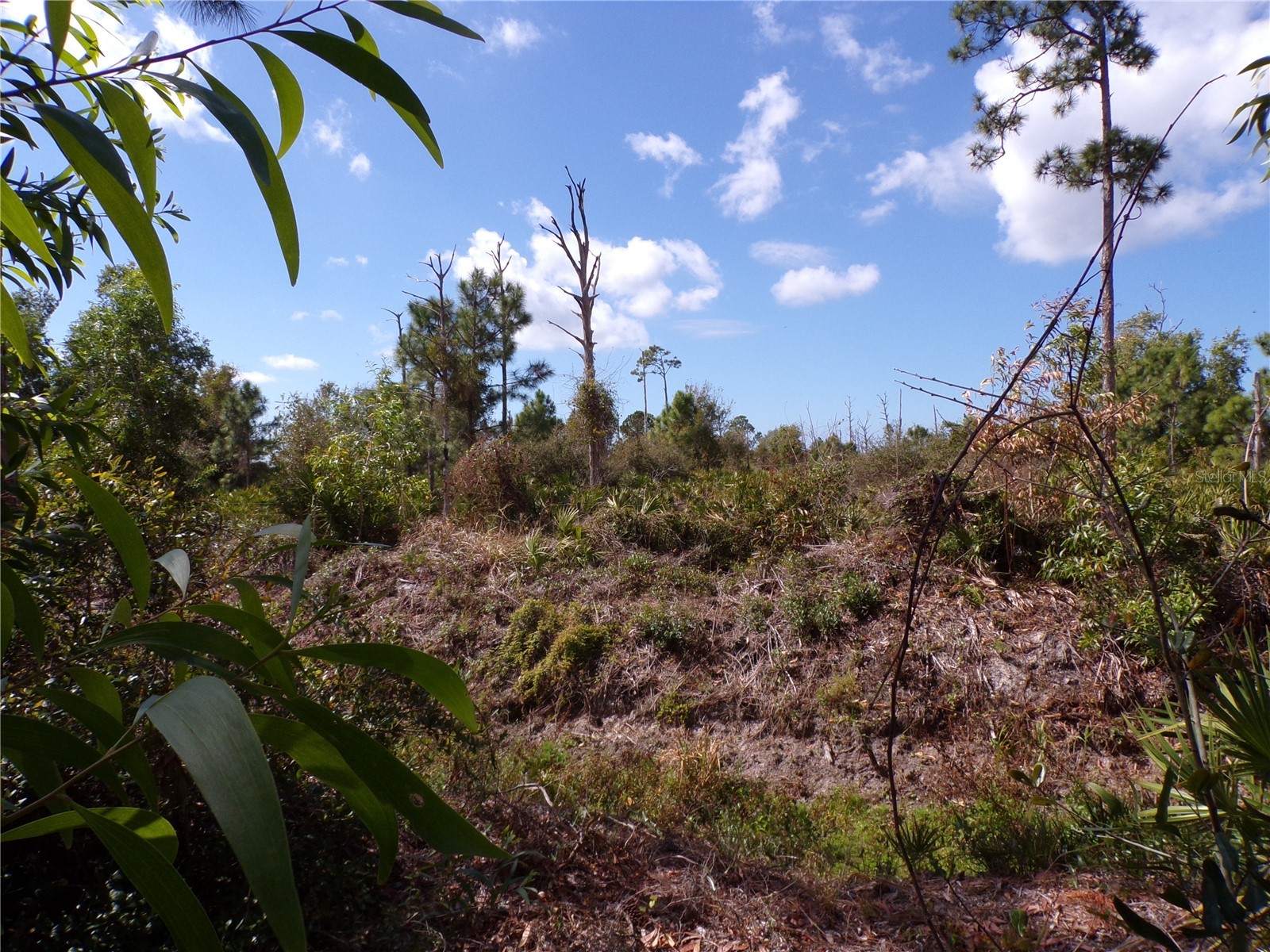 12253 Green Gulf Boulevard Punta Gorda FL 33955 C7522070 image16