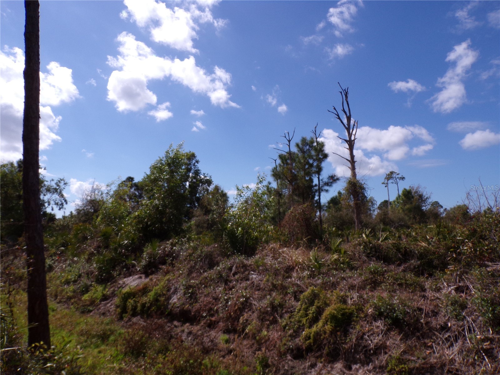 12253 Green Gulf Boulevard Punta Gorda FL 33955 C7522070 image17