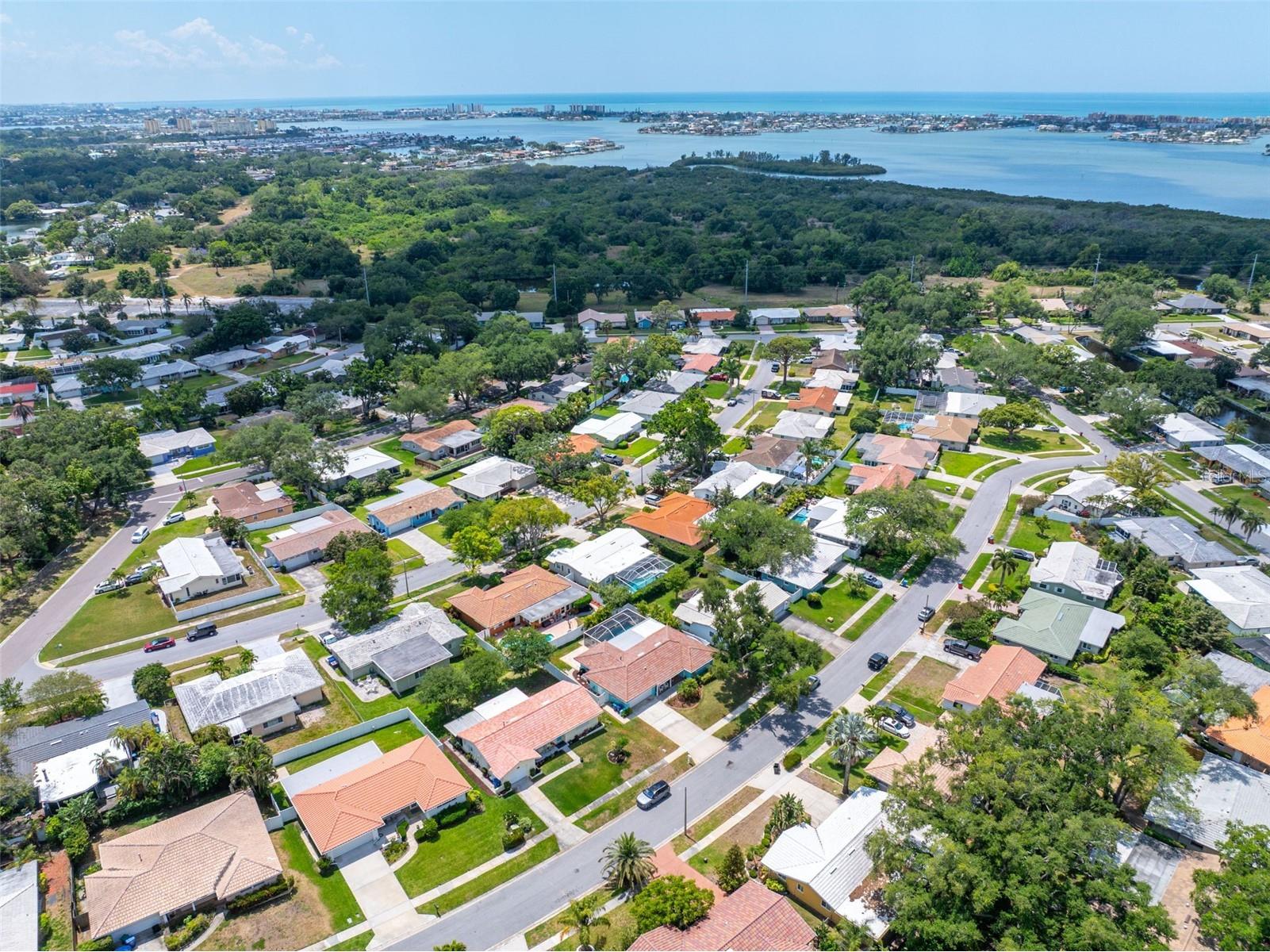 12254 69th Ter Terrace Seminole FL 33772 TB8502623 image5