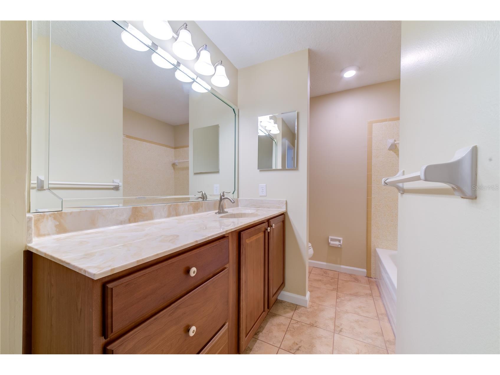 12255 Virginia Drive Leesburg FL 34788 - LAKE EUSTIS O6380891 image27