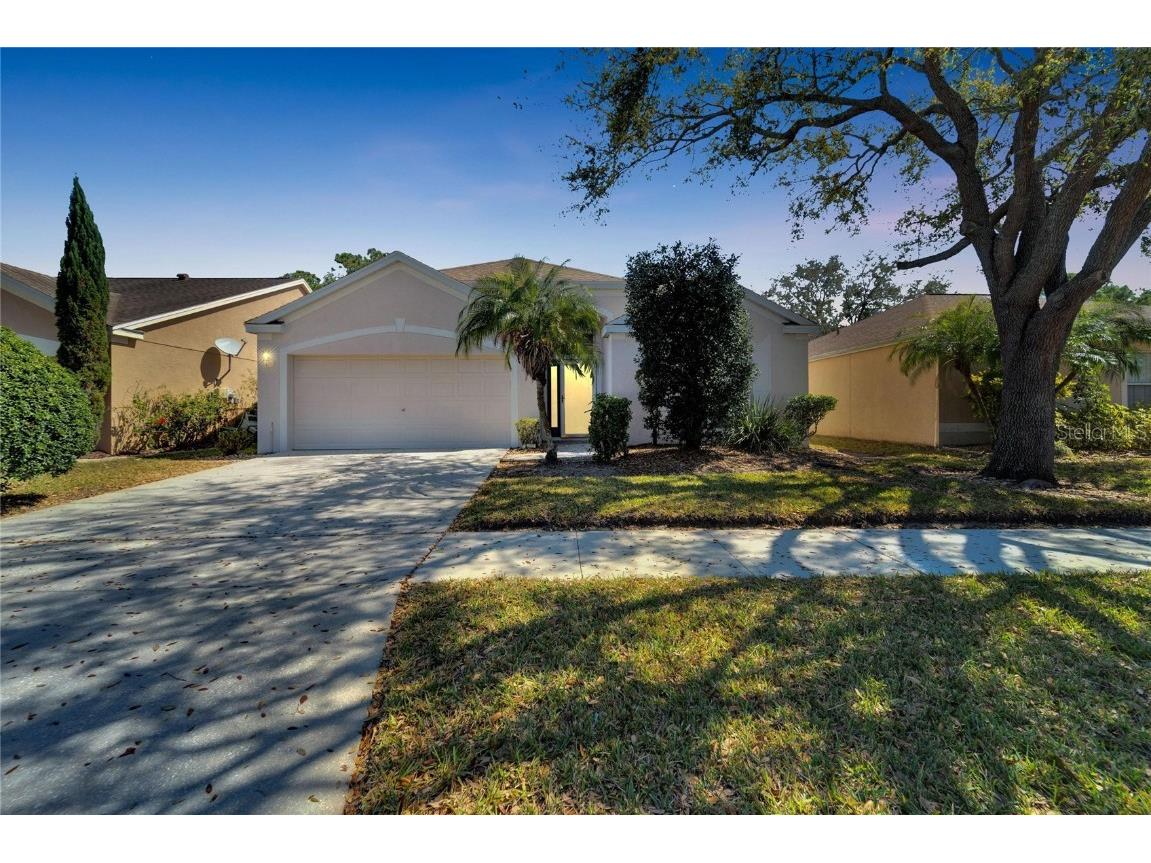 12256 Dawn Vista Drive Riverview FL 33578 T3508173 image1